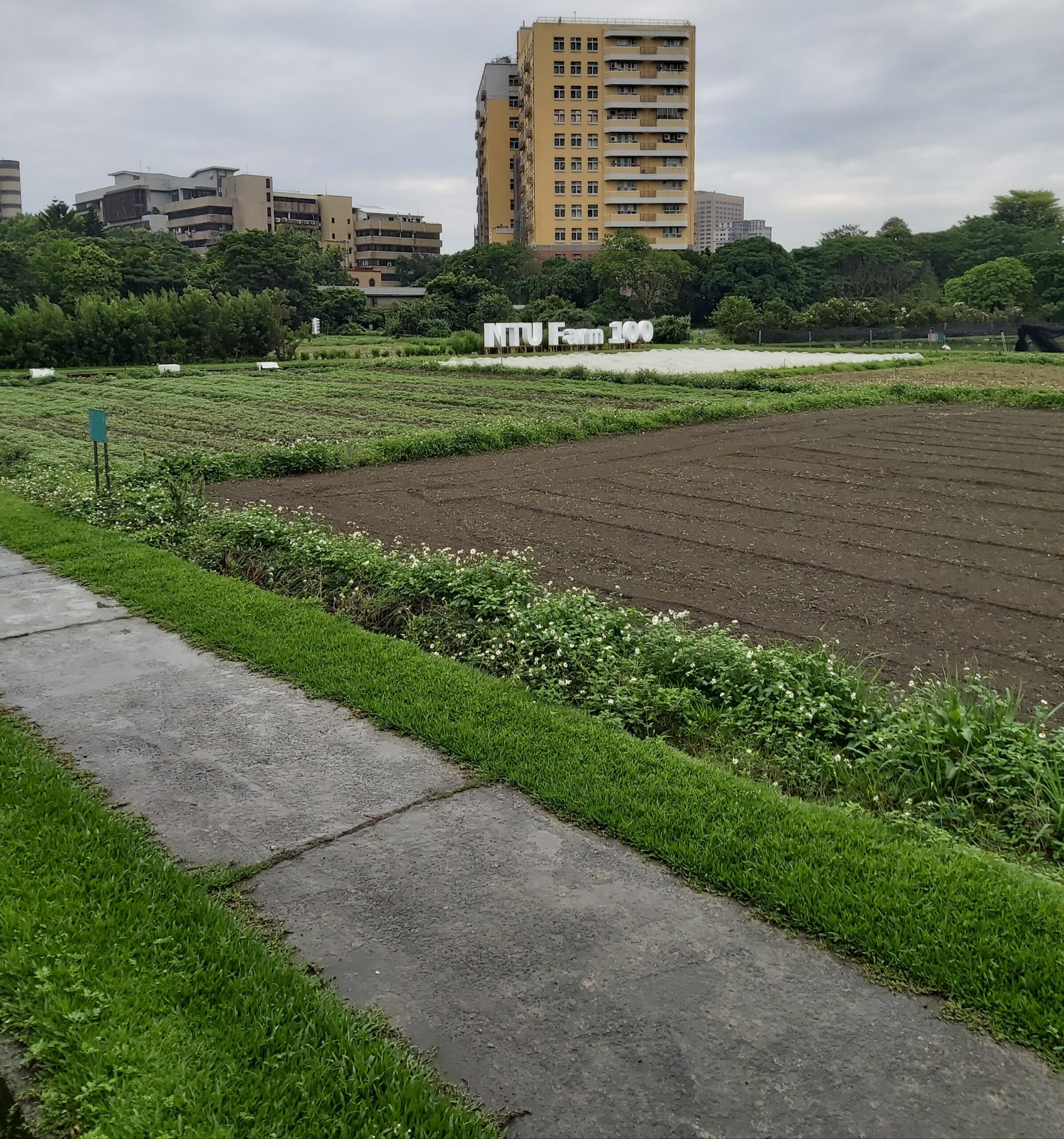 National Taiwan University Experimental Farm 20240410