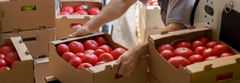 FruitExport Masthead