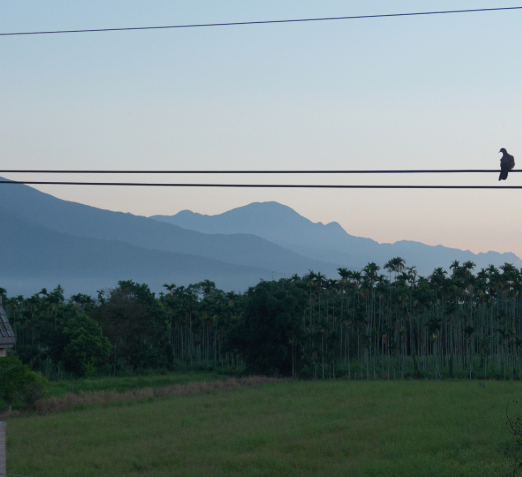 sunrise (1)