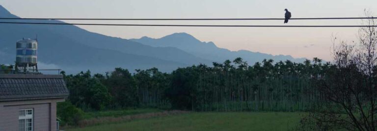 sunrise