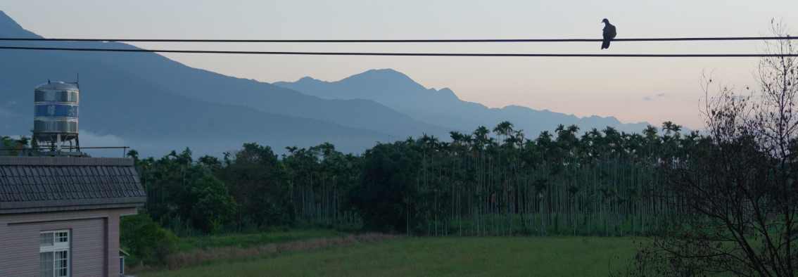 sunrise